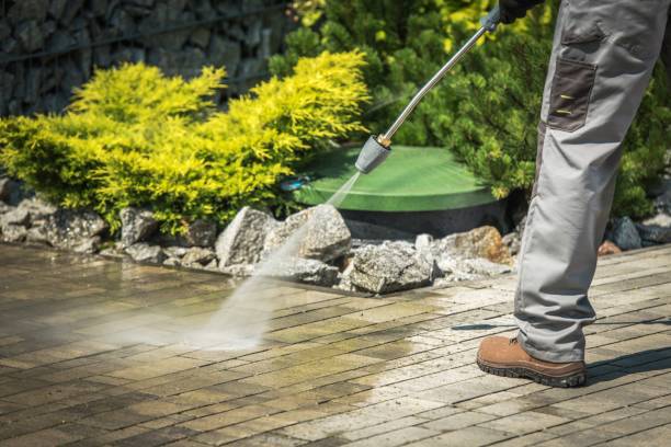 Best Driveway Cleaning and Restoration in Payson, IL