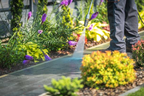  Payson, IL Pressure Washing Pros