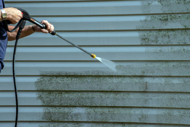 Best Roof Cleaning and Mildew Removal in Payson, IL